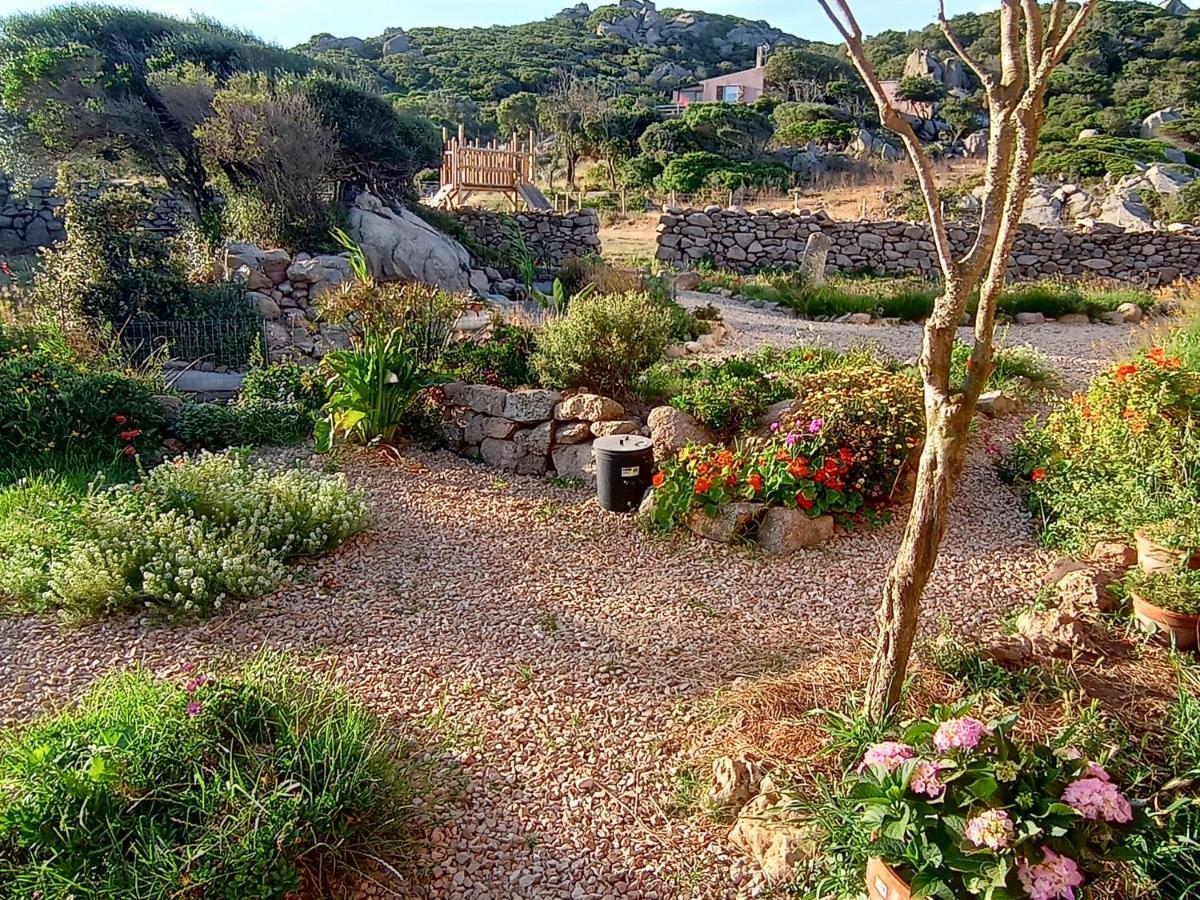La Cera Farm Camping B&B Santa Teresa Gallura Exterior photo